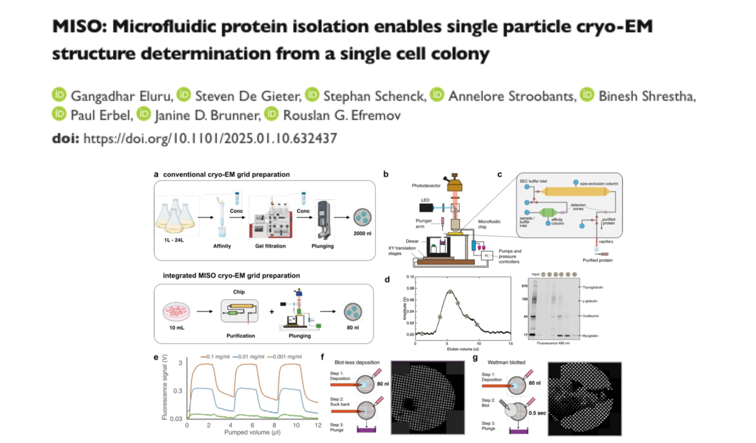 AMF - MISO Publication - Microfluidic sample preparation - 1