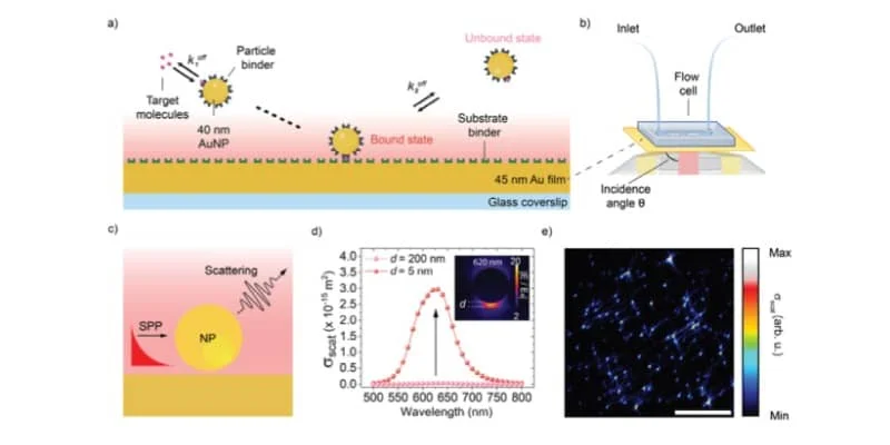 AMF-Publications-Dynamic_nanoparticle-on-film_biosensor-2