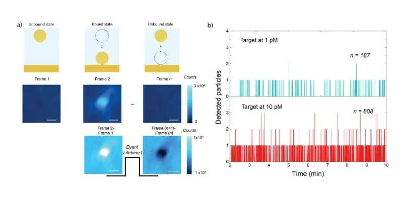 AMF-Publications-Dynamic_nanoparticle-on-film_biosensor-3