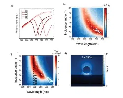 AMF-Publications-Dynamic_nanoparticle-on-film_biosensor-4