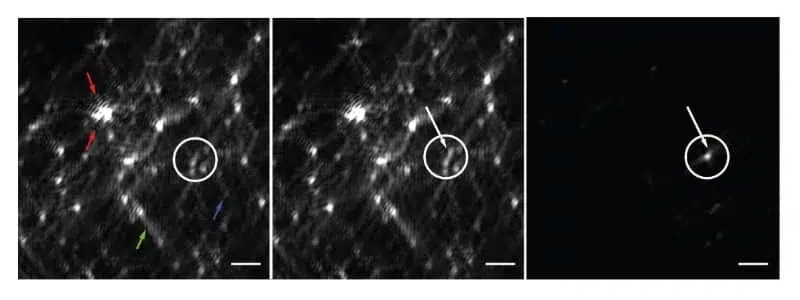 AMF-Publications-Dynamic_nanoparticle-on-film_biosensor-5