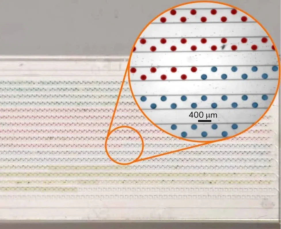 AMF - Elveflow - MUX Distribution - Droplet Sequencing System - 5