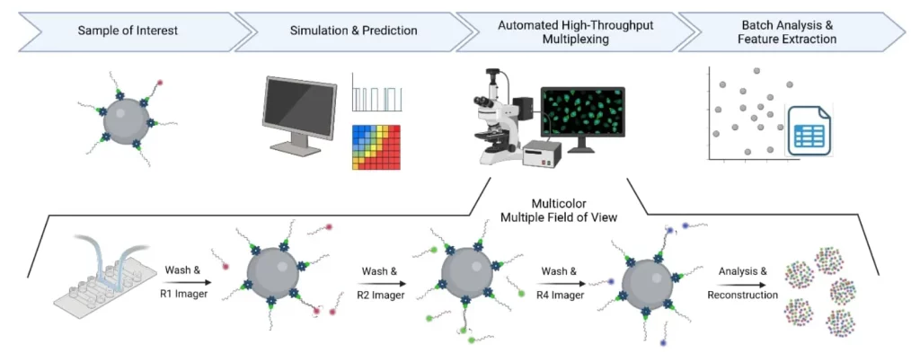 AMF - Publication Automated Simulation Guided Multiplexed DNA PAINT - 2 - Overview of the automated setup