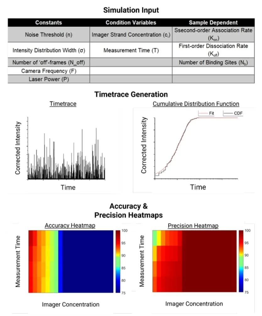 AMF - Publication Automated Simulation Guided Multiplexed DNA PAINT - 5 - Simulation guided optimization of DNA-PAINT parameters