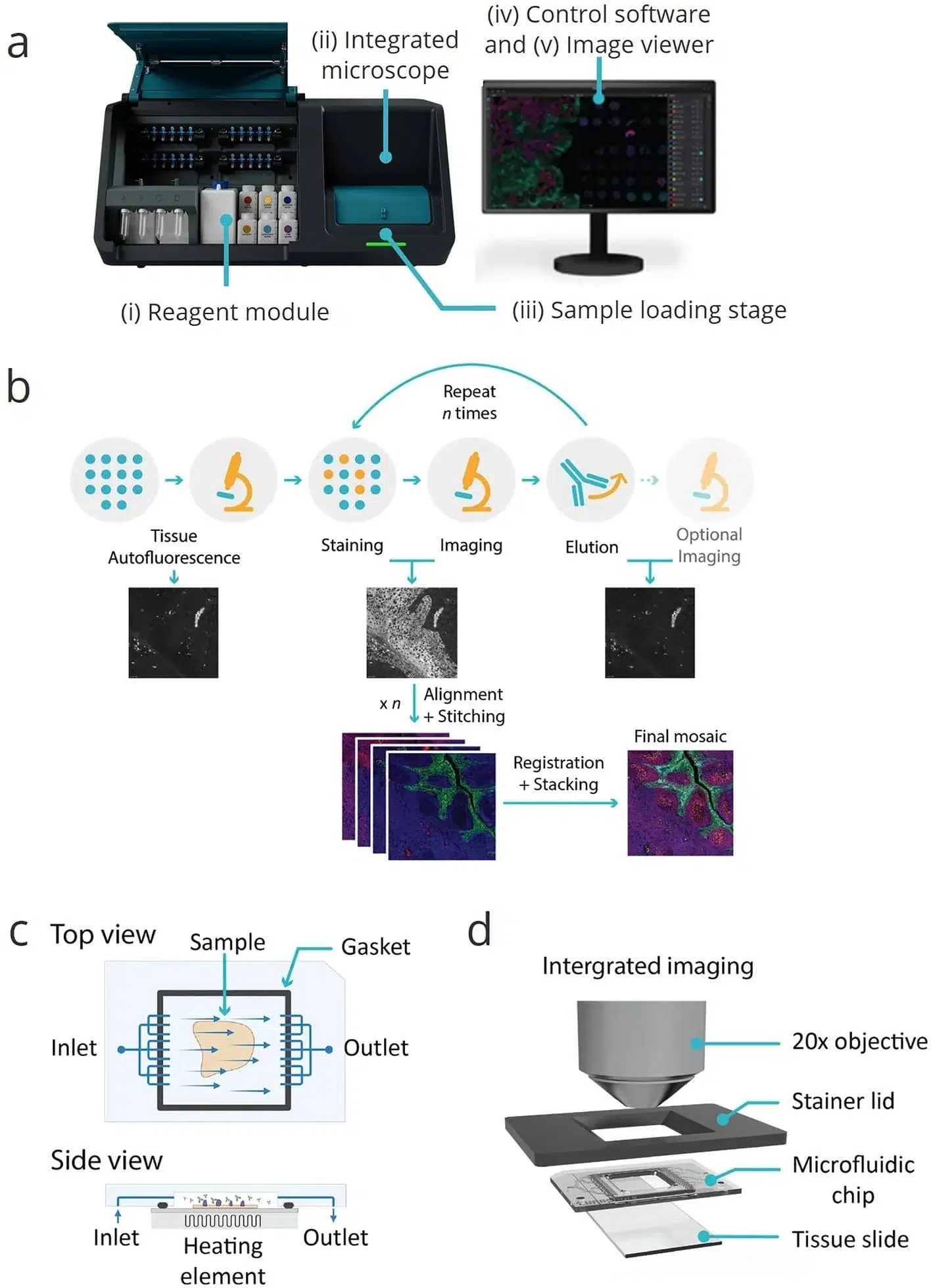 Spatial Proteomics workflow with microfluidic precision