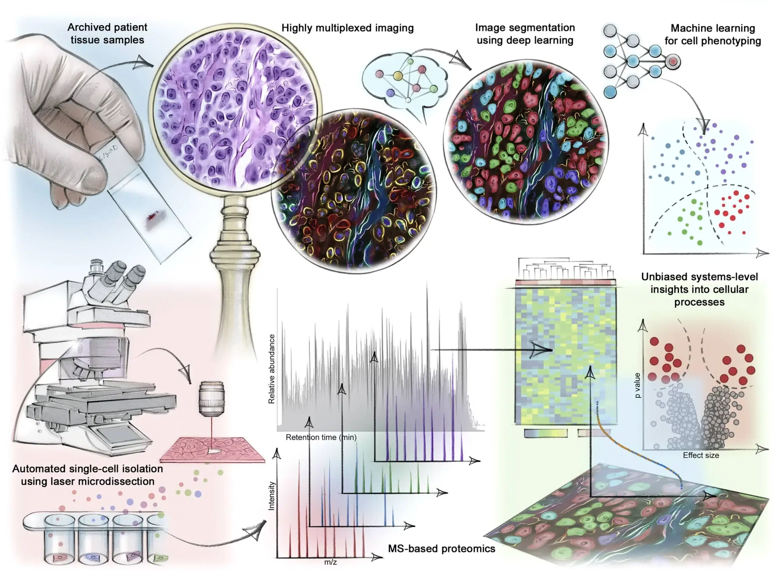 Spatial Proteomics workflow with microfluidic precision