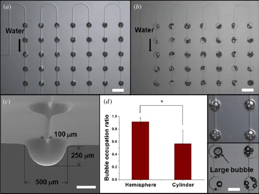 AMF - Technotes - Microfluidic bubbles - 2 - Bubbles-trapped-within-wells-inside-a-microfluidic-device-Wide-field-images-show-bubbles