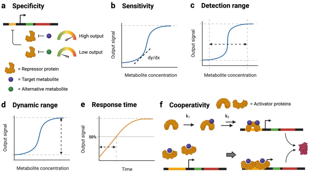 Single-molecule biosensing technologies and advances