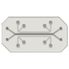 AMF Research Collaboration Program - Organ on chip